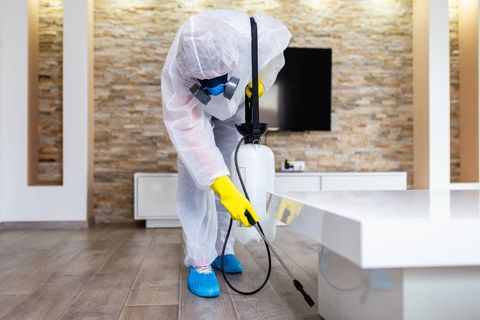 How Pest Control Can Save Your Home?