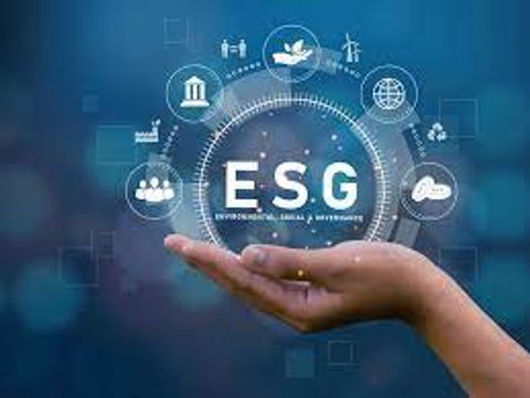 The Beginner’s Guide to ESG Reporting: Facts, Strategies, and Practical Tips